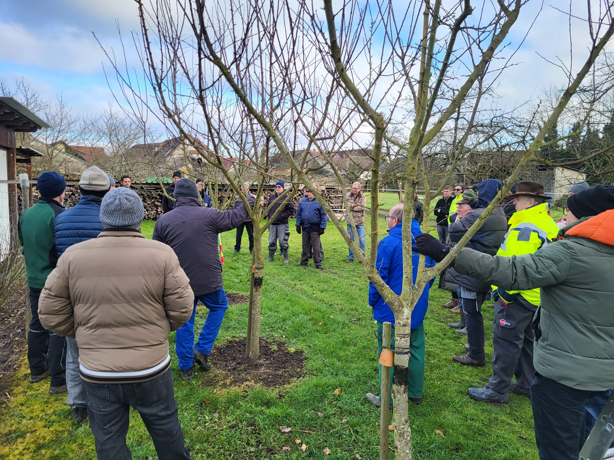 Schnittkurs Januar 2025