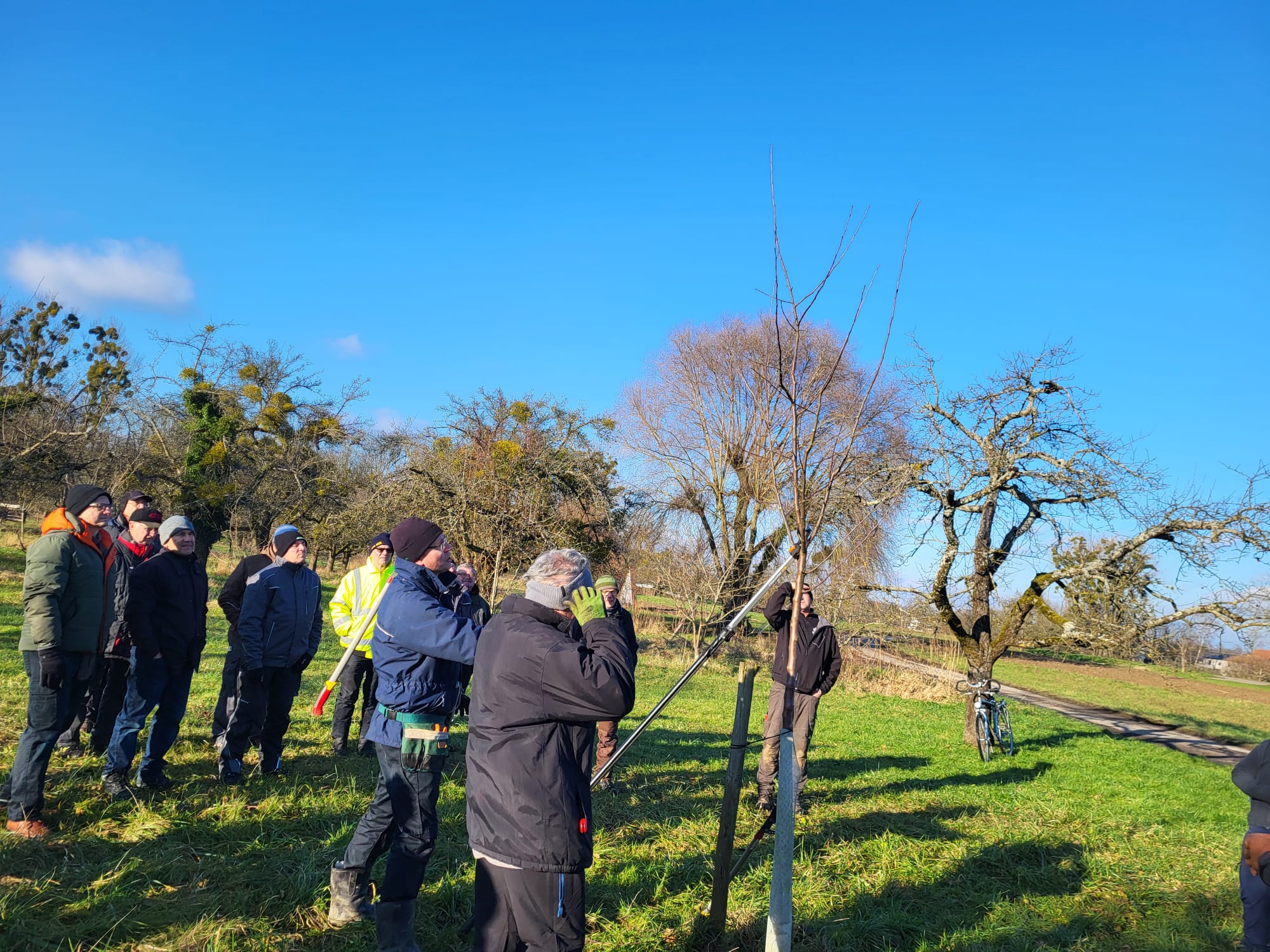 Schnittkurs Januar 2025